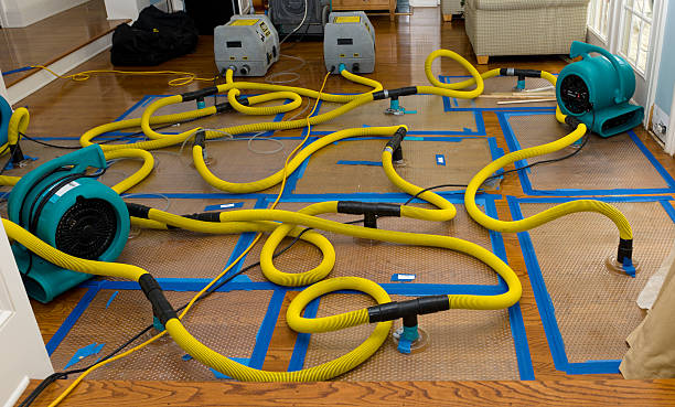 Professional Water Damage Repair technician working in Cohasset, MA